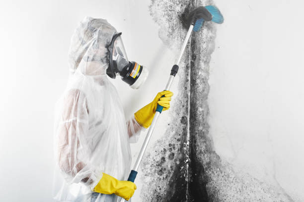 Best Air Quality Testing for Mold Spores  in Macon, MS