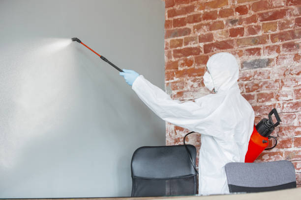 Best Mold-Related Health Consultation  in Macon, MS