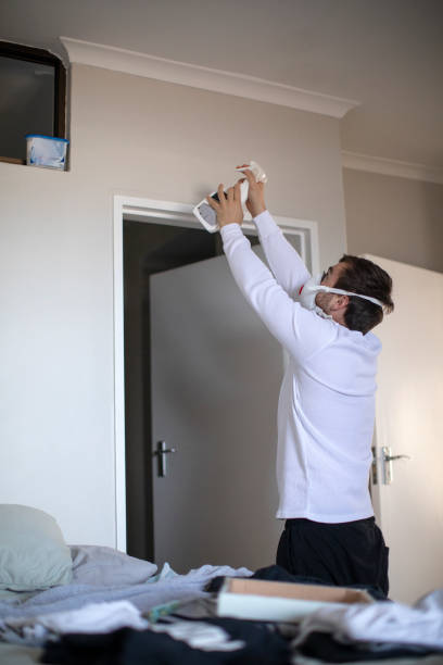Best Water Damage & Mold Remediation  in Macon, MS