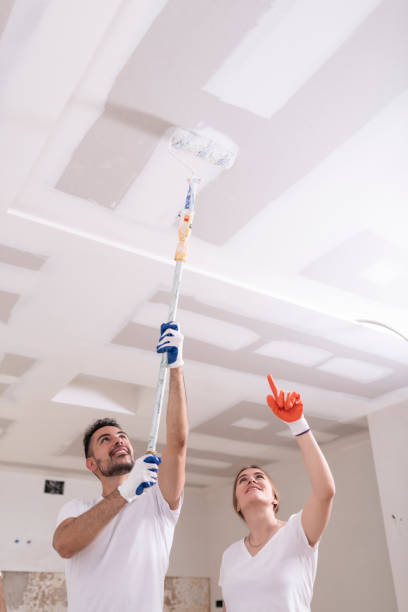 Reliable Macon, MS Mold Removal Solutions