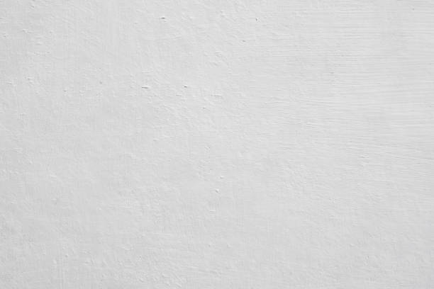 Best Mold Prevention Services  in Macon, MS