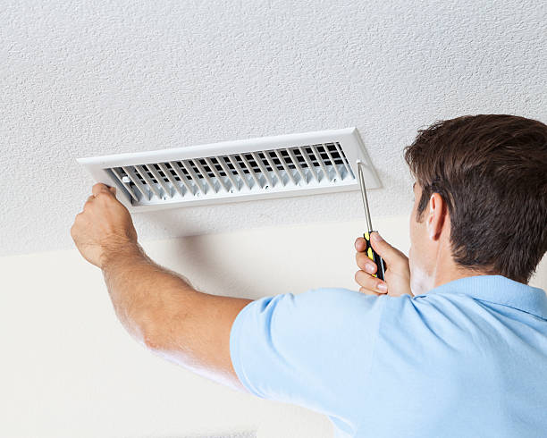  Macon, MS Mold Removal Pros