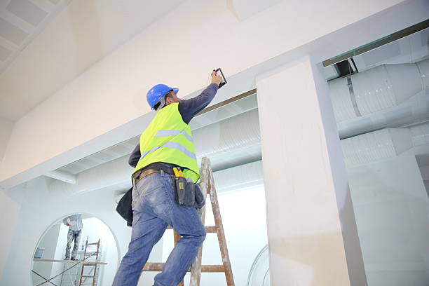 Best Real Estate Mold Inspection  in Macon, MS