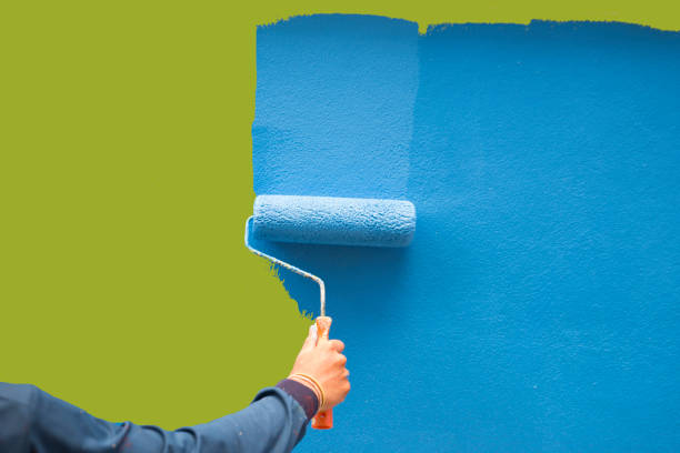 Best Emergency Mold Remediation  in Macon, MS